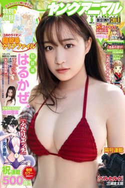 吃瓜群